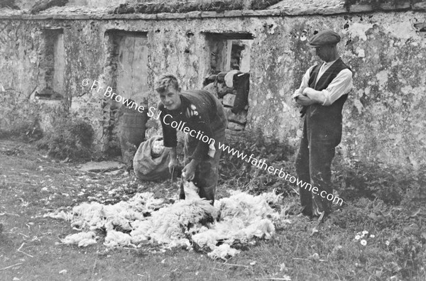 MAN SHEARING SHEEP